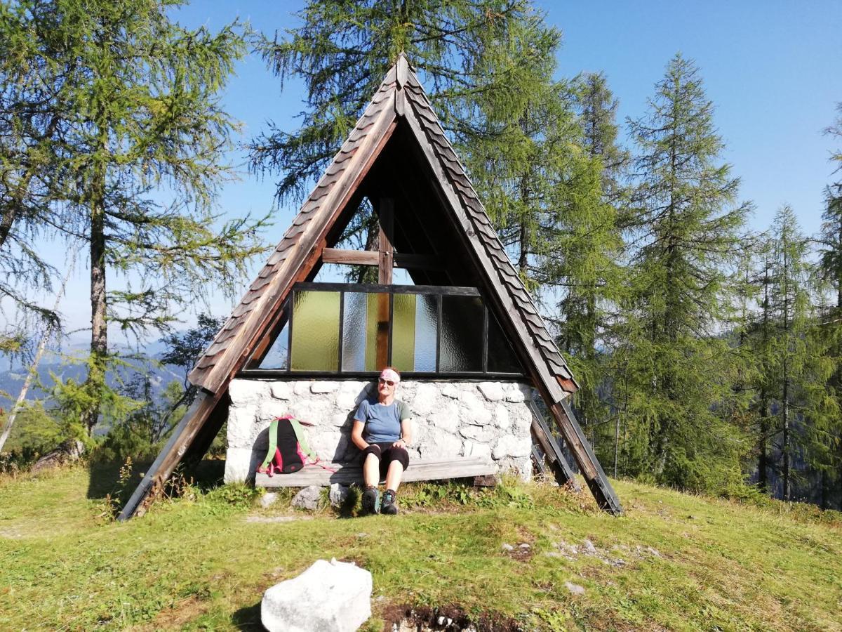 Ferienwohnung Schmaranzer Gosau Exterior photo